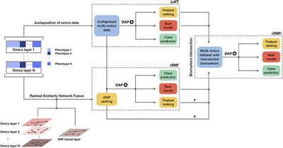 Integrative Network Fusion: A Multi-Omics Approach in Molecular Profiling